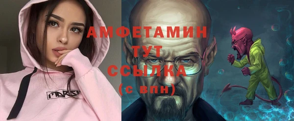 сатива Корсаков